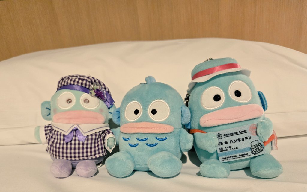 gorigorigoh (@gorigorigoh) / Posts / X