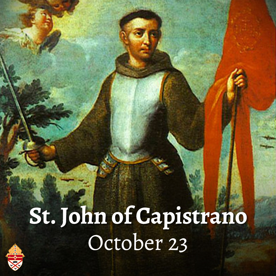 Diocese of Pensacola-Tallahassee tweet media