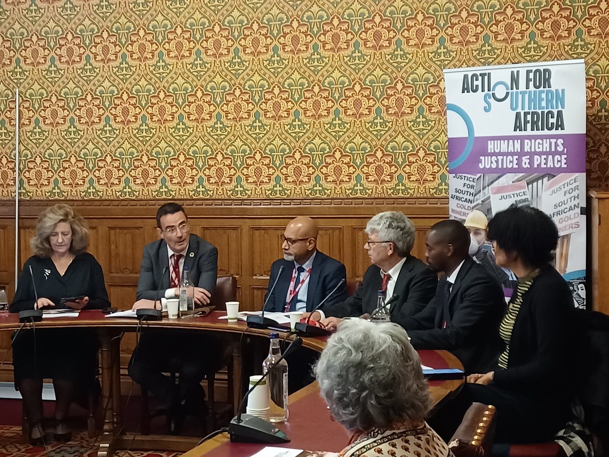 Live now in the House of Lords with <a href="/jonny_oates/">Lord Jonny Oates</a> - we are launching our joint report about lead pollution in #Kabwe, Zambia, its impact and colonial roots and the need for corporate accountability, with Environment Africa Zambia, <a href="/londonmining/">LDNMiningNetwork.bsky.social</a> and <a href="/raidukorg/">RAID</a> #JusticeForKabwe