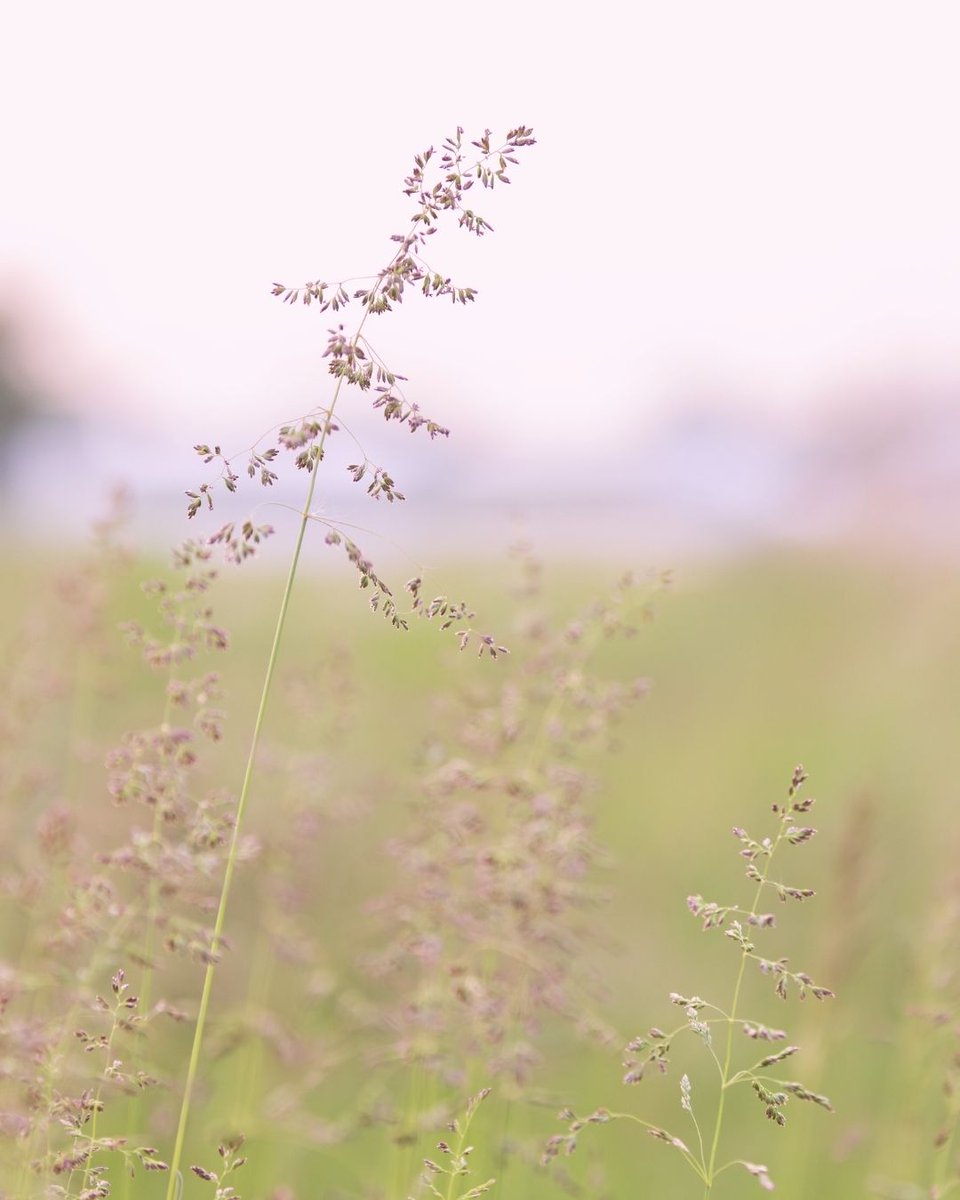 AmFam Championship tweet media
