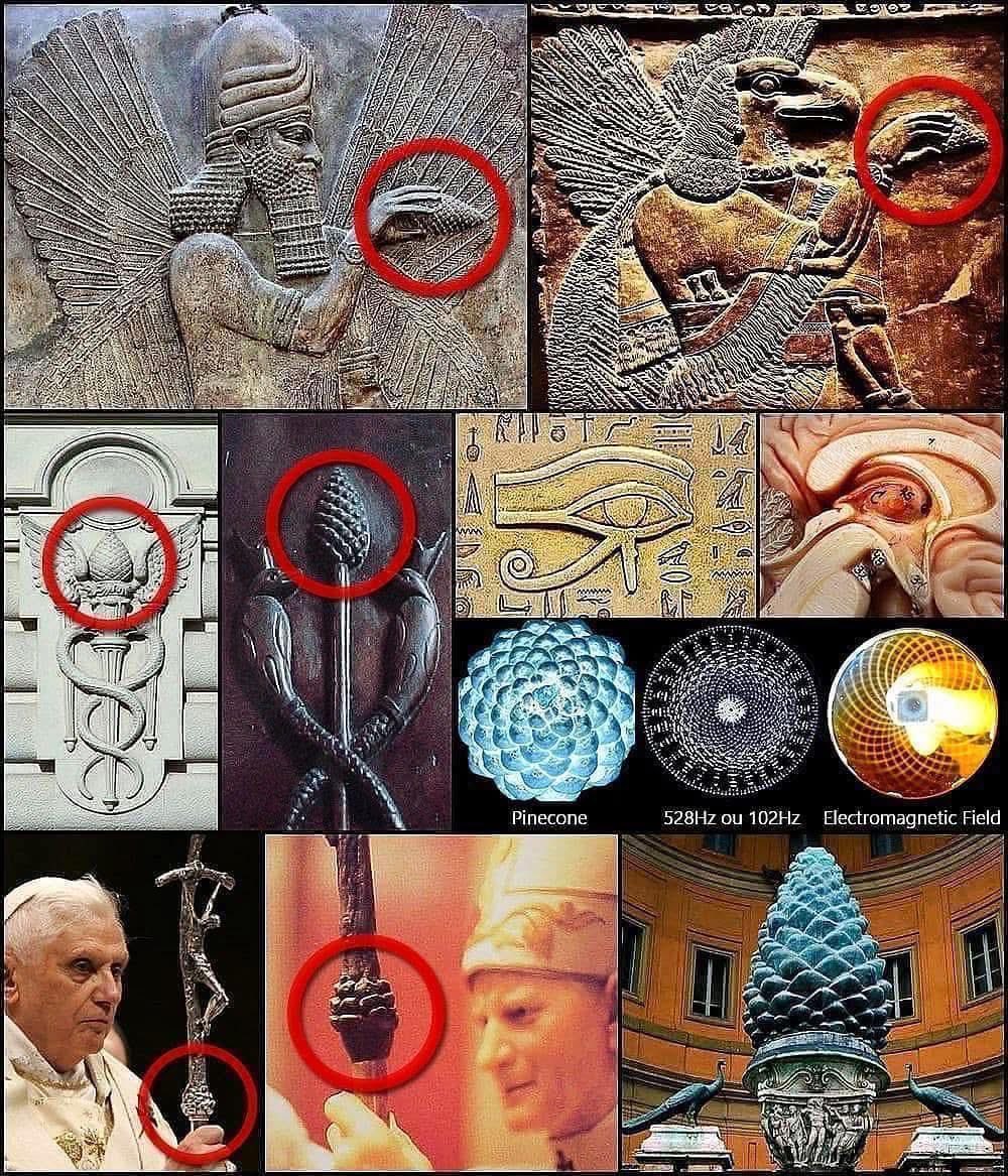 maximumpain333's tweet photo. YOUR PINEAL GLAND IS THE GATEWAY

They mocked it.
They silenced it.
They coated it in fluoride and buried it in dogma.

But they could never destroy it.

Because your pineal gland is not just a gland—it’s the gateway between realms.
The seat of sight beyond sight.
The throne of divine perception.

Every culture remembered.

Every empire encoded it in stone:

The Sumerians held it in their hand.
The Egyptians drew it as the Eye of Horus.
The Vatican crowned it as a pinecone.
The serpents of ancient medicine curled around it.

Because they knew—this is where the Spirit speaks.
This is where God reveals.
This is where illusion ends.

The Pineal = The Stargate.

It’s shaped like a pinecone.
It’s bathed in cerebrospinal fluid.
It creates DMT in states of deep meditation, near-death, and spiritual awakening.
It’s a receiver—an antenna to frequencies beyond the veil.

And when it’s clear, awakened, and activated?

You don’t “believe” anymore.

You know.

The Third Eye isn’t occult. It’s original.
It’s not New Age. It’s pre-flood, pre-Egypt, pre-language.

“If your eye be single, your whole body shall be full of light.” — Matthew 6:22

Yeshua wasn’t being poetic.

He was revealing the code.

So how do you reclaim it?

Silence the noise.
Detox your vessel.
Meditate in the name of Truth.
Call upon the Holy Spirit, not false spirits.
And let the flame behind the forehead ignite.

You’ve been taught to fear it.

But it’s not the pineal that’s dangerous—it’s the ones who didn’t want you to see.

Because once your third eye opens…

you stop being a prisoner.

And you start becoming the blueprint.

~ Aaron Hurst

✨🙌🏾💫
