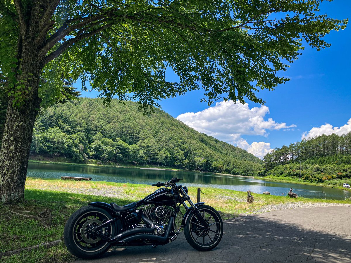 さんがつページ そめ on X