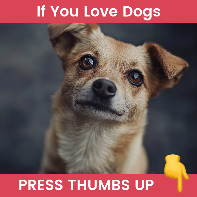 Andy Skraga | Make Money On Facebook tweet media