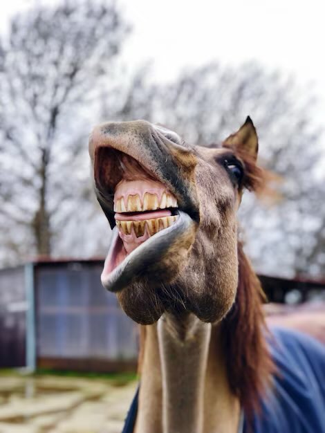 Benonwine tweet media