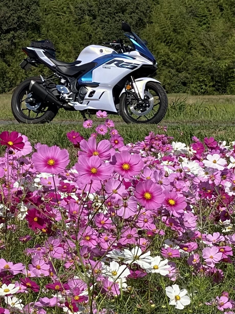 じょうじ@ YZF-R25 on X: 