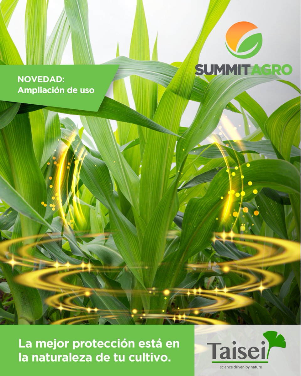 Summit Agro Argentina tweet media