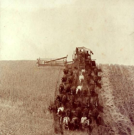 you may not like it, but this was peak efficiency. 

Fertilizing right behind combine