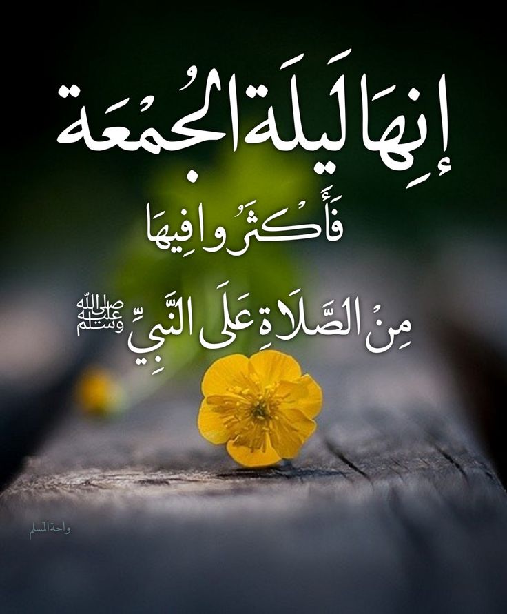 <a href="/Yousma0f/">Al yousif - M</a> <a href="/hassanha16/">حسن الشمري</a> <a href="/thedark5000/">THE DARK</a> <a href="/HadiAlmosawy/">hadi.almosawy</a> <a href="/B_A_TT/">حمامة السلام🕊</a> <a href="/mashed2012/">husain alhassawi</a> <a href="/Fitnisalam_/">Nesreen</a> <a href="/h31313/">حسن</a> <a href="/bntelhuda/">bntelhuda</a> <a href="/uady35/">uadyalaamri</a> <a href="/sammr3/">ᏕᎯᗰᎯᖇ</a> <a href="/hj_loubna/">لبنى 🇱🇧 1</a> <a href="/alulbaiyt313/">۩ ۩ابو ؏َـلي</a> <a href="/shiaa_ali/">زهرة لبنان</a> <a href="/sj3samr/">sαмσяα</a> <a href="/hs____34/">‏👑◈ سہأقہيہ ألوفہه ◈</a> <a href="/Hsnklil/">H. Hassan Khalil</a> <a href="/M9waXEmSGXUH4KM/">حسين المنصوري</a> <a href="/hh__h21/">حيدر العراقي</a> <a href="/w__es/">αℓ τнαнαвi🩵 ⁦</a> <a href="/ebtihajafar/">قطر الندى سمير</a> <a href="/Abormlh/">‏‏‏‏🌟عصام عبدالرحمن رملــ أبو ــه‏‏🇾🇪</a> <a href="/k_a_n_a_n_a313/">ٲبـــــــ سمير الكناني ــــــــو ٲحمد</a> <a href="/Da899664/">عاشوراء زماني ~❥</a> <a href="/love24478/">قاسم الحداد</a> <a href="/saderal_khalaiq/">🥀♤• صدر الخلائق •♤🥀</a> <a href="/abou_hussein1/">أم حسين جنوبية الهوى2</a> <a href="/nibraseidgmail2/">نحووله</a> <a href="/Tatbeer203/">jamal969</a> <a href="/SA____jD/">آدارة  ال̲͡مـنتظـﹻۧـر⇣ عج</a> <a href="/F_A_L_B_313/">Om Abdullah</a> اللهم صل على محمد وآل محمد الطيبين الطاهرين وعجل فرجهم ياكريم