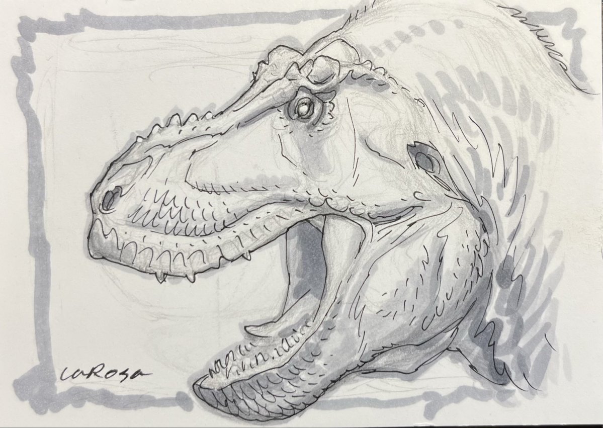 lewislarosa's tweet image. Powering through a few hundred sketch cards for the Megalith kickstarter. Some backers are getting T. rexes. Hope that’s ok.