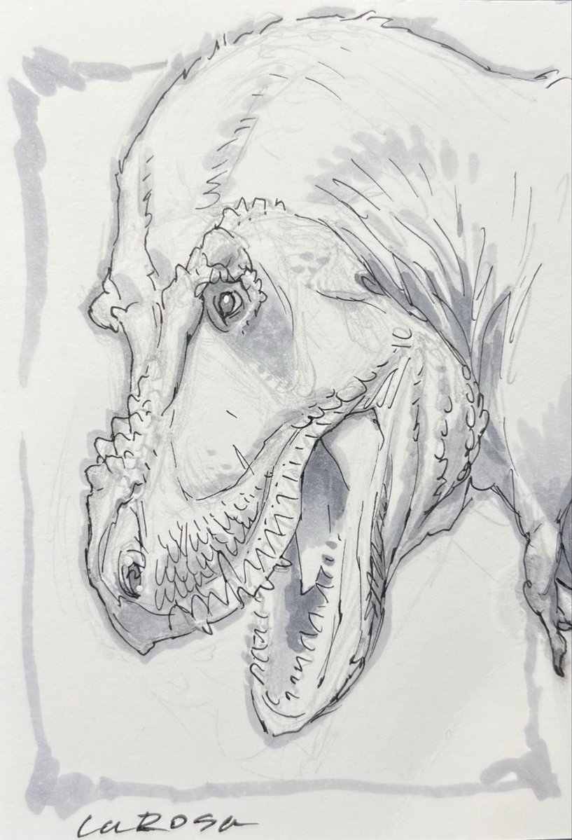 lewislarosa's tweet image. Powering through a few hundred sketch cards for the Megalith kickstarter. Some backers are getting T. rexes. Hope that’s ok.