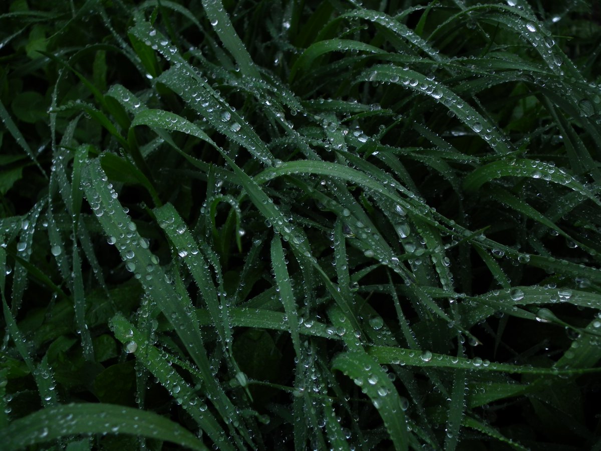 oum_photo's tweet photo. noticing https://t.co/0SPt95Jrc3