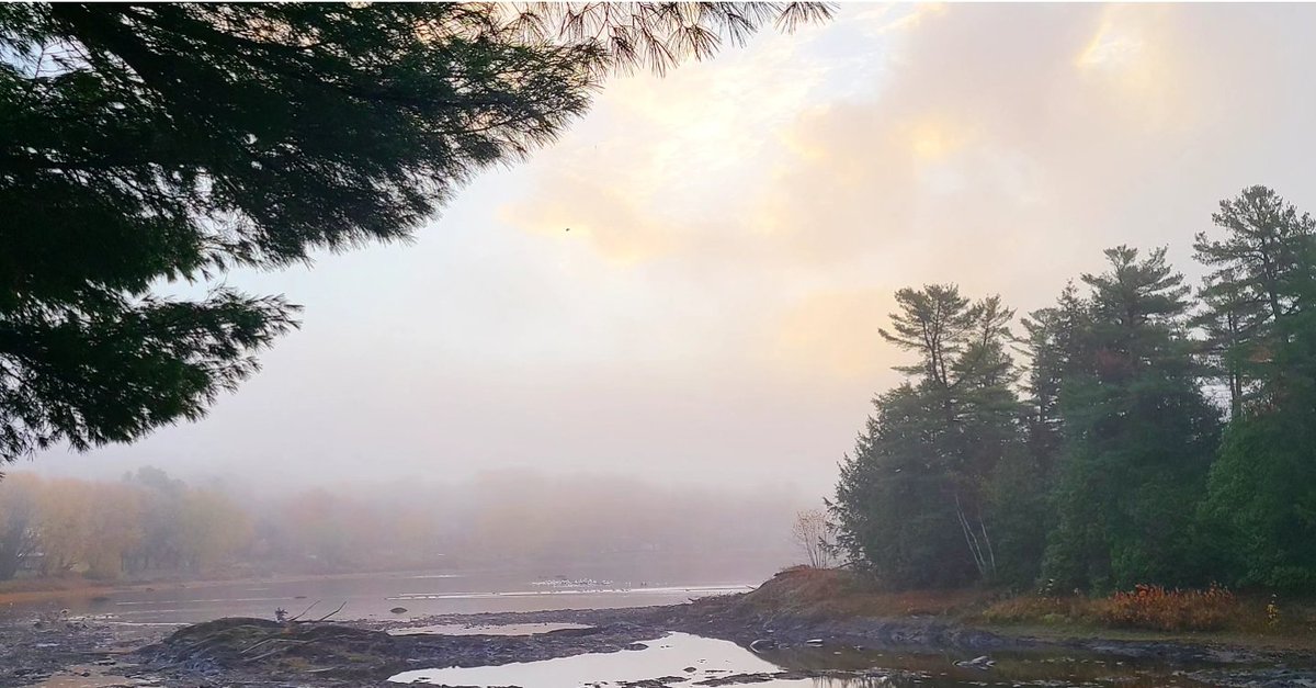 Matin d'automne.
Brumeux après la pluie...enfin de la pluie. ❣️
🌾🍂🌧