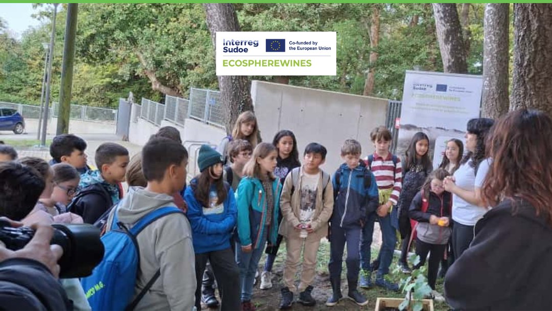 fjuanadevega's tweet image. #InnovaciónRural | 🍇 Uns 60 rapaces do CEIP Juana de Vega convertéronse hoxe en aprendices de #biólogos para aprender a coidar os viñedos da man de #ECOSPHEREWINES, un proxecto @6Sudoe para mellorar o capital natural do viñedo e favorecer a súa conservación e xestión sostible.