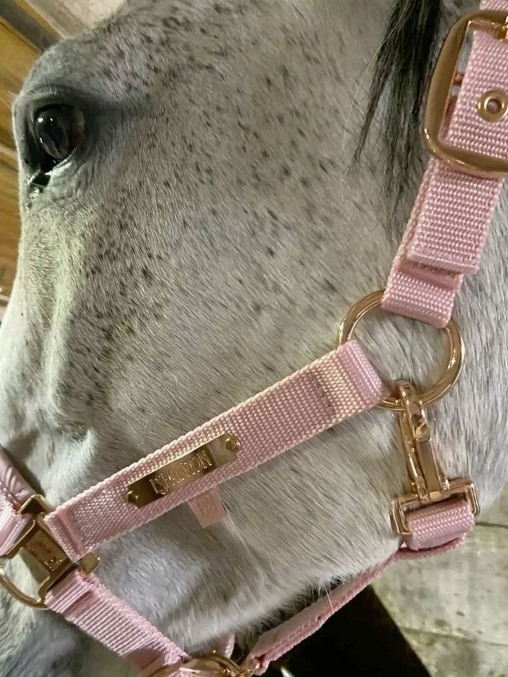 𝒫 (@lvspink0) on Twitter photo 