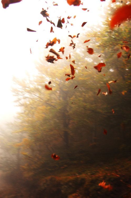 sad. ᛊᚨᛞ tweet media