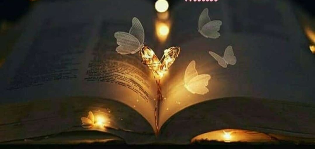 زرتاشیہ زری🖤 tweet media