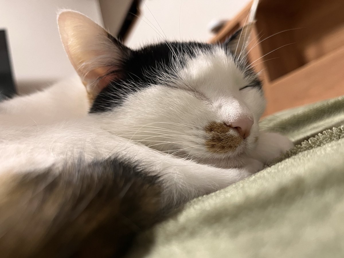 rokorokorokou's tweet image. 愛してるよ