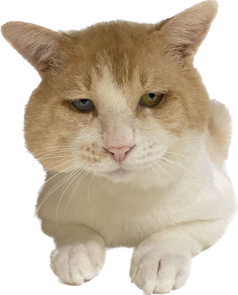 さちよ様 幸世【さちよ】❤️‍🔥︎︎ ♀⇒♂ on X