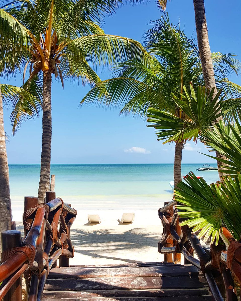 visitacaribemex's tweet image. Un lugar donde la belleza, la relajación y la naturaleza se unen para ofrecerte uno de los destinos más increíbles de todo el #CaribeMexicano: #IslaHolbox. ⛱🌅
IG: thomasrhd | thld_lgr | lisamariewi
#TheSignatureParadise