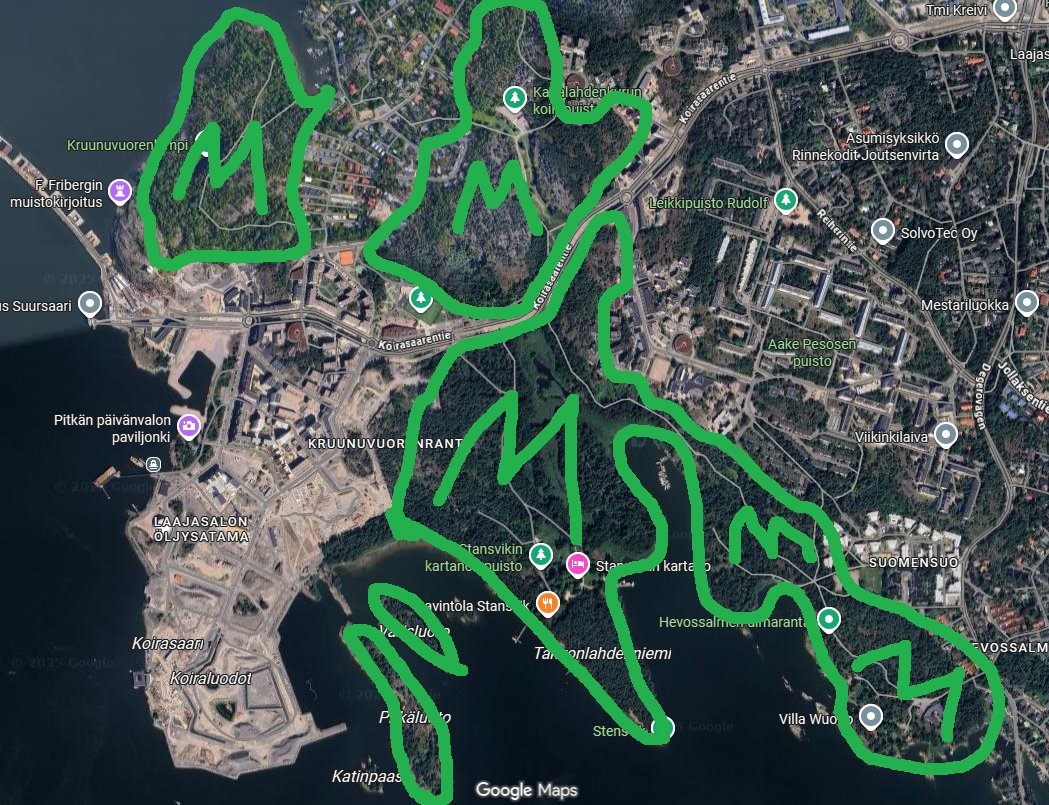 Otto Meri tweet media