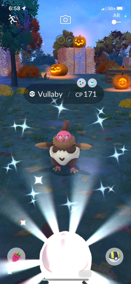 PokehunterAL's tweet image. The shiny luck is real