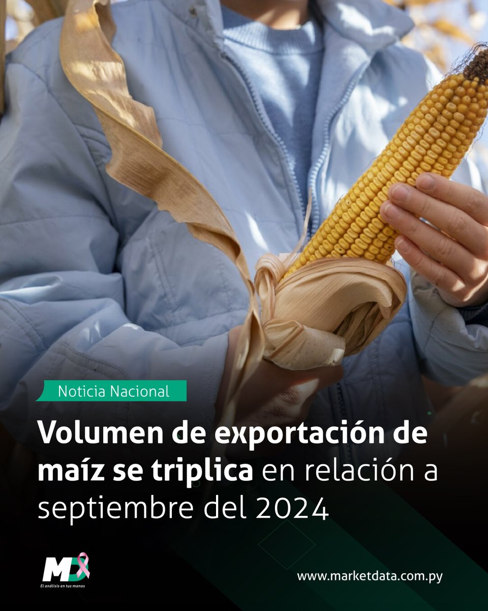 marketdata_py's tweet image. 🌽📈 Las exportaciones de maíz zafra 2025, entre junio y septiembre, totalizaron 1,7 millones de toneladas y USD 384 millones en divisas
Brasil sigue como principal destino, con envíos en aumento a Perú, Bolivia y el Medio Oriente.
📍 Leé más en n9.cl/bsewx