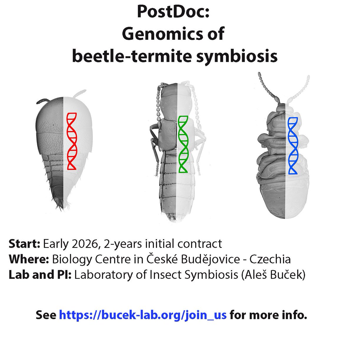 Postdoc position in České Budějovice <a href="/BiologyCentre/">Biology Centre CAS</a>  🐜🐜🐜🐜