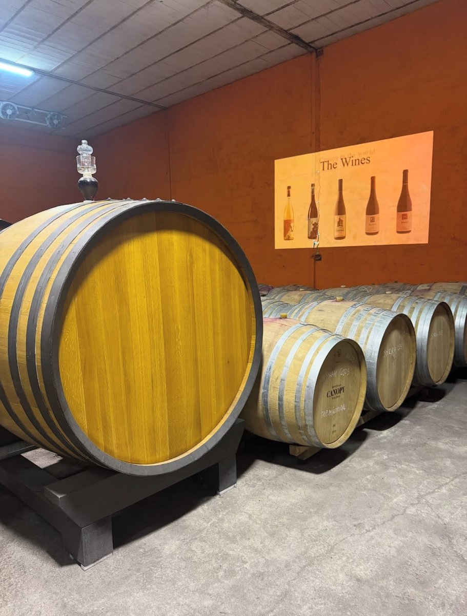 Bodegas Canopy tweet media