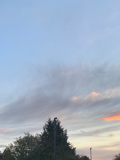 FOFFUXACHE tweet media