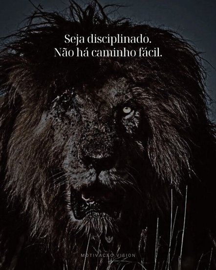 Acostume-se com o desconforto,

Nada que vale a pena vem sem esforço.