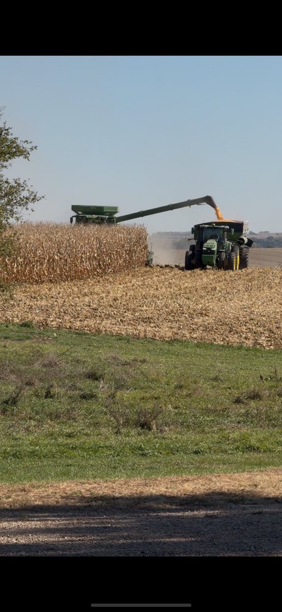 CurtHarris19's tweet photo. Chewing corn! https://t.co/iHzSSsJS1e