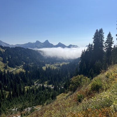 OutragedMike's tweet image. #NewProfilePic