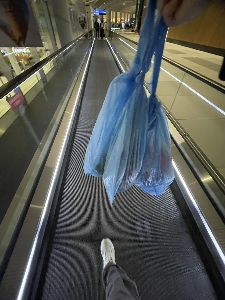 ucağa sanki pazar alışverişini  yapmış dönüyormuşum gibi bindim resmen kabin memuru bile anlamadı bu ne diye sordu halbuki avakado ananas mango almıştım sadece asdfgf