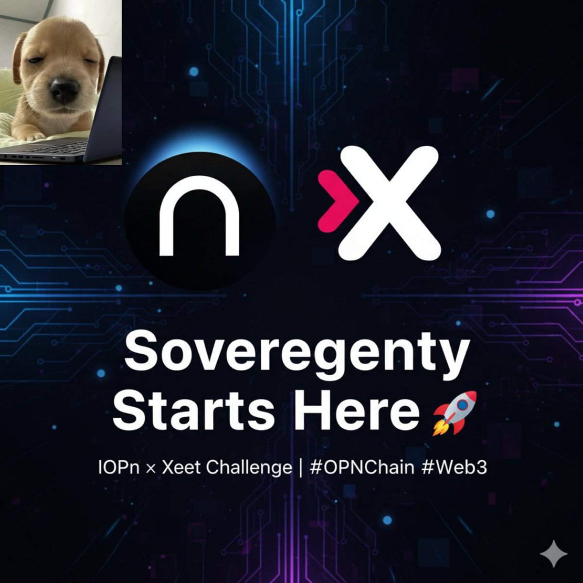 Erpann12's tweet photo. @IOPn_io iOPN Chain unites identity, ownership &amp; opportunity , sovereignty for all.

Joining the @xeetdotai × @IOPn_io Challenge to share what true decentralization means.

#OPNChain #Web3 #IOPnChallenge https://t.co/xhSsIUkc8w
