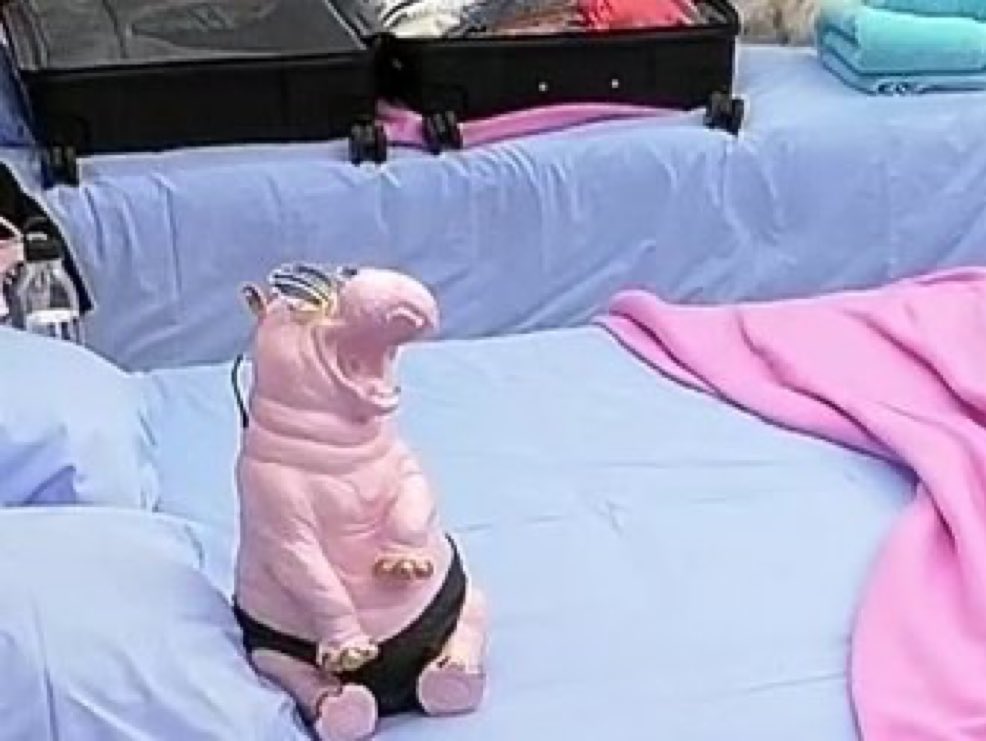 mano este hipopótamo aparece mais vezes que o Rui e nem estou a brincar juro joca #sstvi