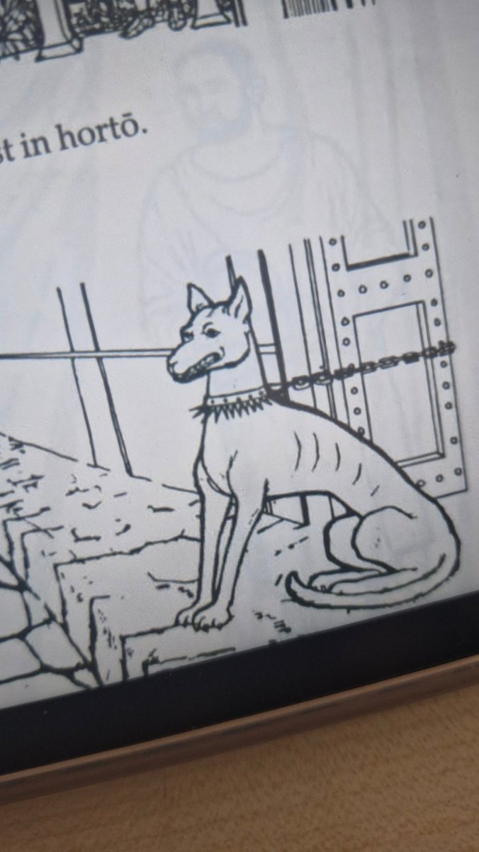 Latince kitabındaki köpek bana benziyo