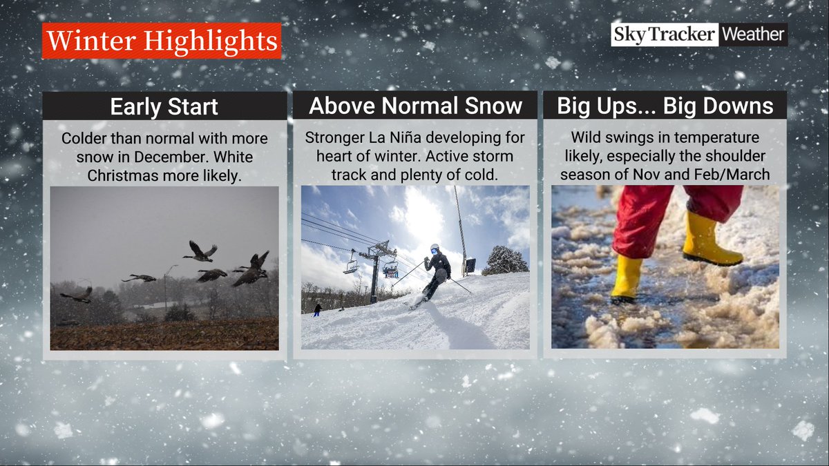 Early look at the upcoming winter. The full forecast comes out in a couple weeks but here's a sneak peek at what to expect in southern Ontario.