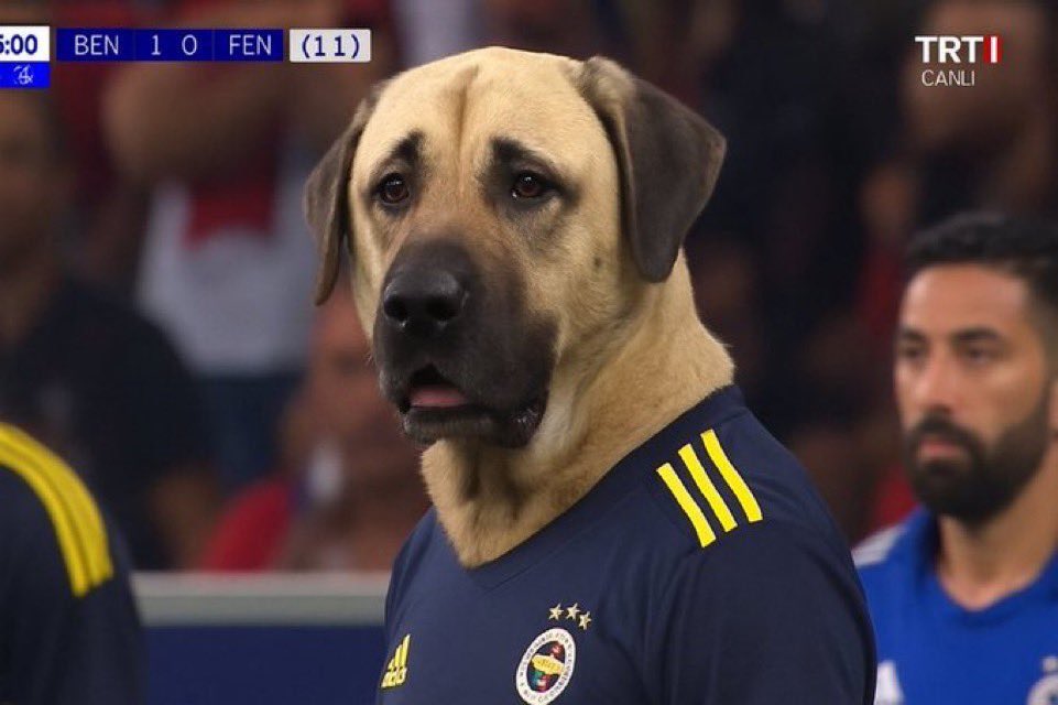 2dk bile süre alamayan fred oçu