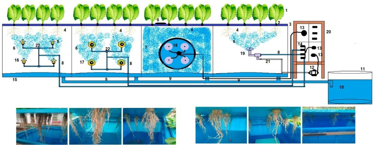 🌿 In The Field is out!

This month’s research with CID Bio-Science &amp; Felix Instruments covers:
🌲 Forest canopy scans
🥬 Aeroponic lettuce
👕 Cotton under drought
🥝 Kiwifruit light
🥑 Longer avocado shelf life

Read it: conta.cc/47zhP1P