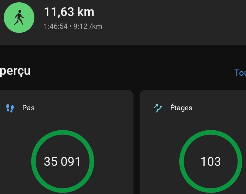 Mes pas et activités du jour 💫 <a href="/Lucy51602801/">Lucy coco</a> <a href="/yoelegicorrer1/">#Yoelegícorrer</a> #YoElegiCorrer #garmin #fenix7xSolar #sportludo @garminfrance @garmin #maigrir #sport #instafitness #athlete #marche #marcheur #courreur #instamood #yoelegicorrer #fitness #fit <a href="/yoelegicorrer/">#ElegiCorrer</a> #semimarathon