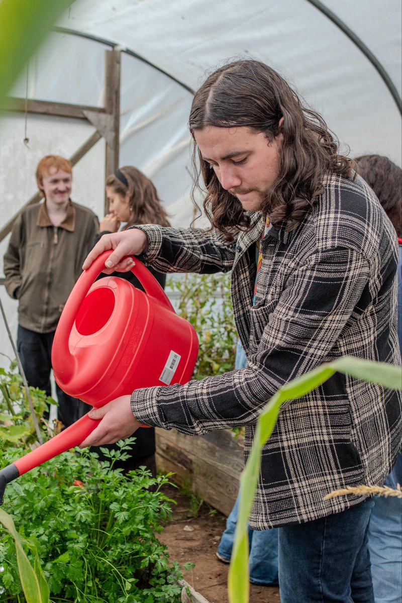 GreenFingeredGeorge tweet media