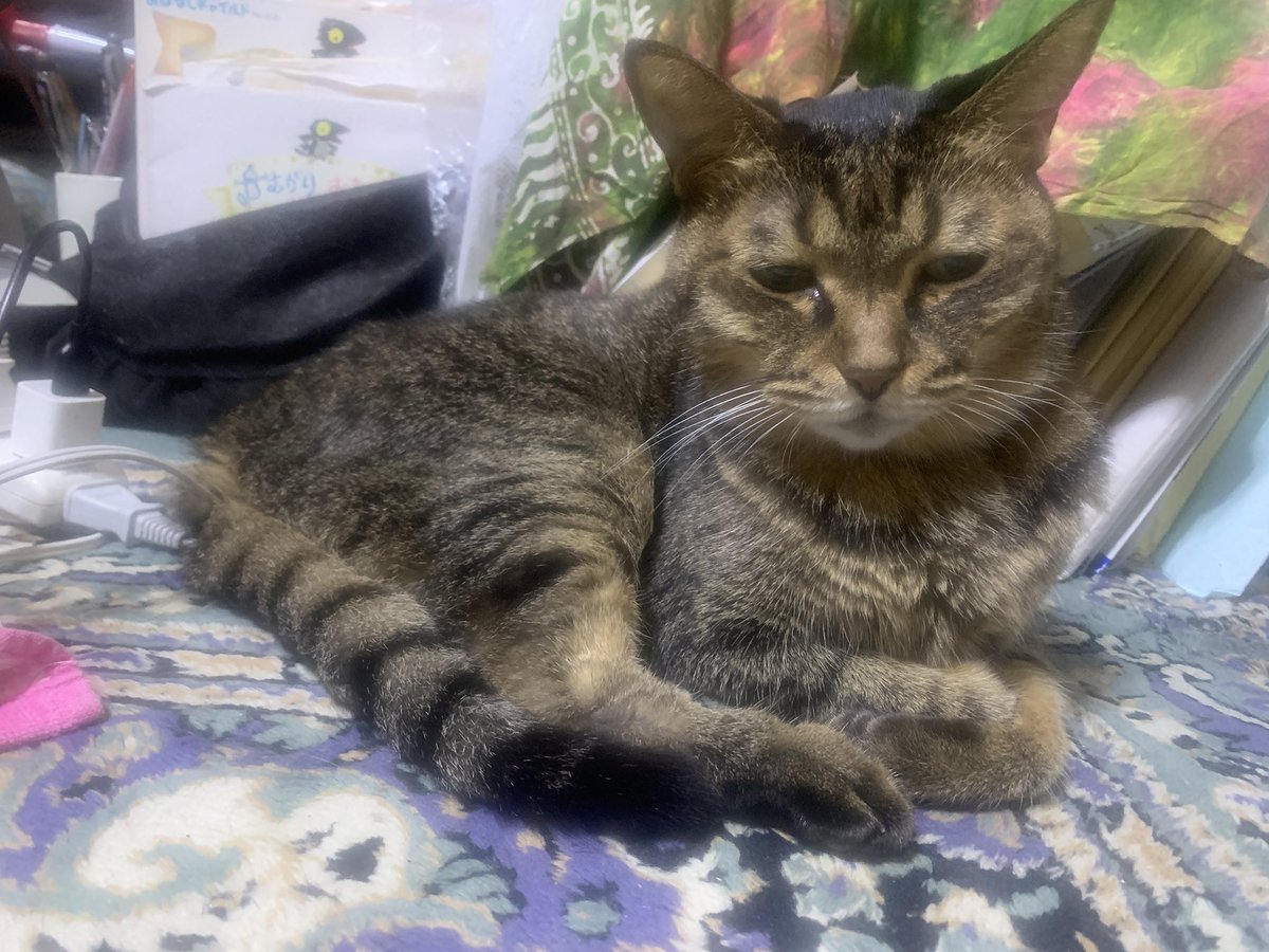 龍胆寺れん on X