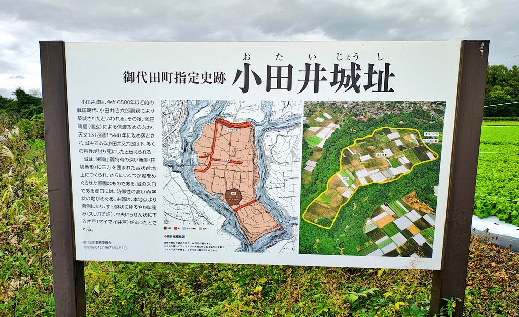 【お堀の畑┃御代田】
何気ない農地風景に見えるが、ここは中山道小田井宿の近くにある小田井城の跡地。

1544年、武田信玄の信濃攻めのさなかに城主の小田井氏も討死したとのこと。

右手前の岩の奥側はお堀（空堀）の跡で、現代ではこちらも畑として利用されている🥒🍅

（2025.10.23）