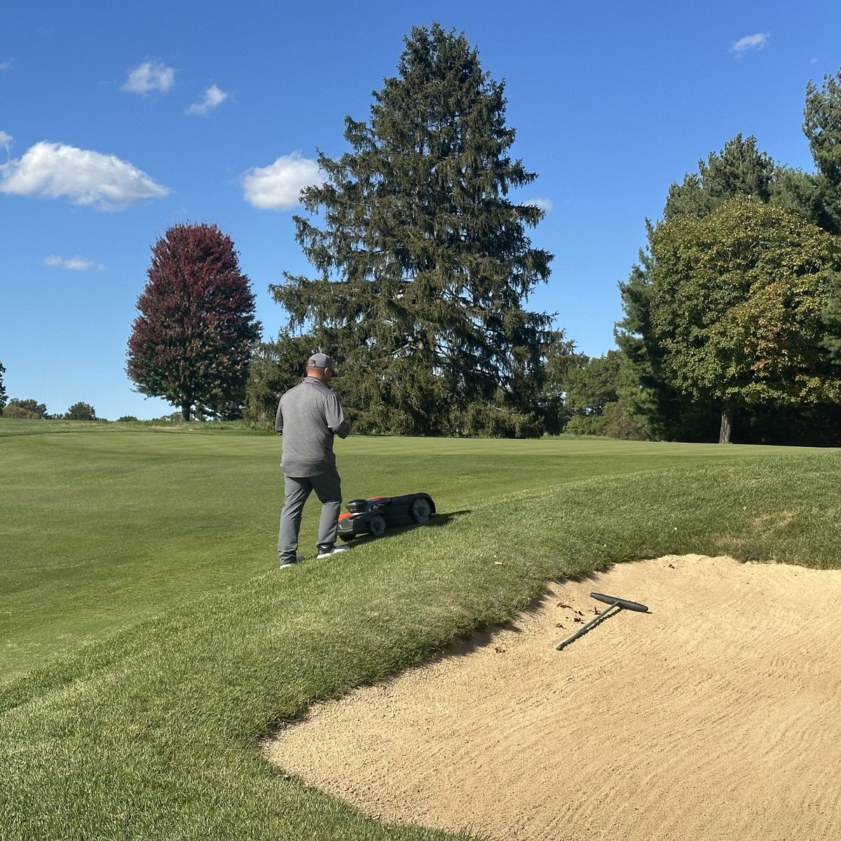 Matthew Wharton tweet media