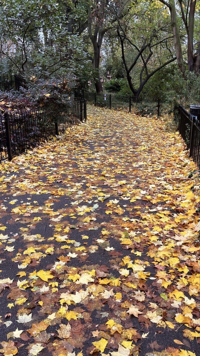 Tina Holmes Interpreting Services tweet media