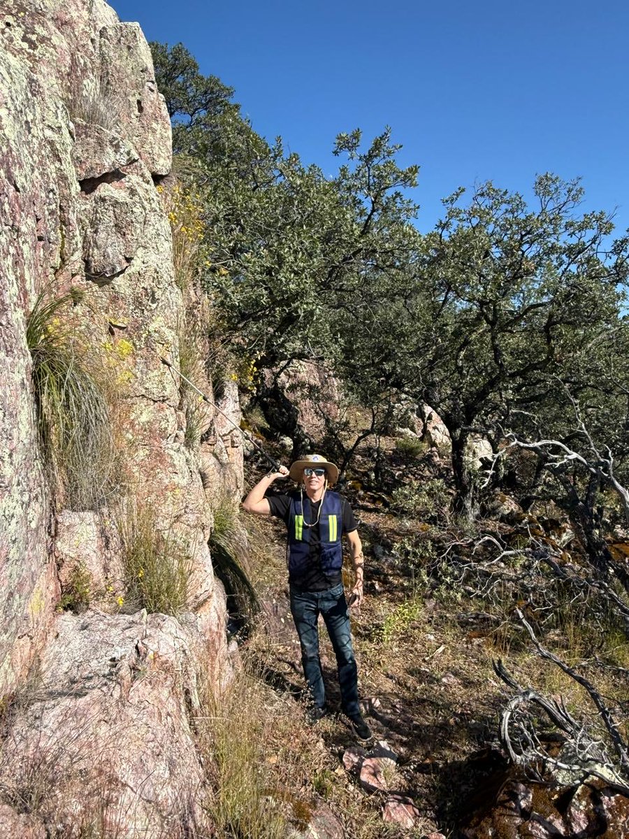 Todd Anthony tweet media