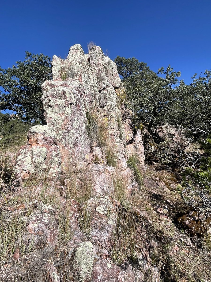 Todd Anthony tweet media