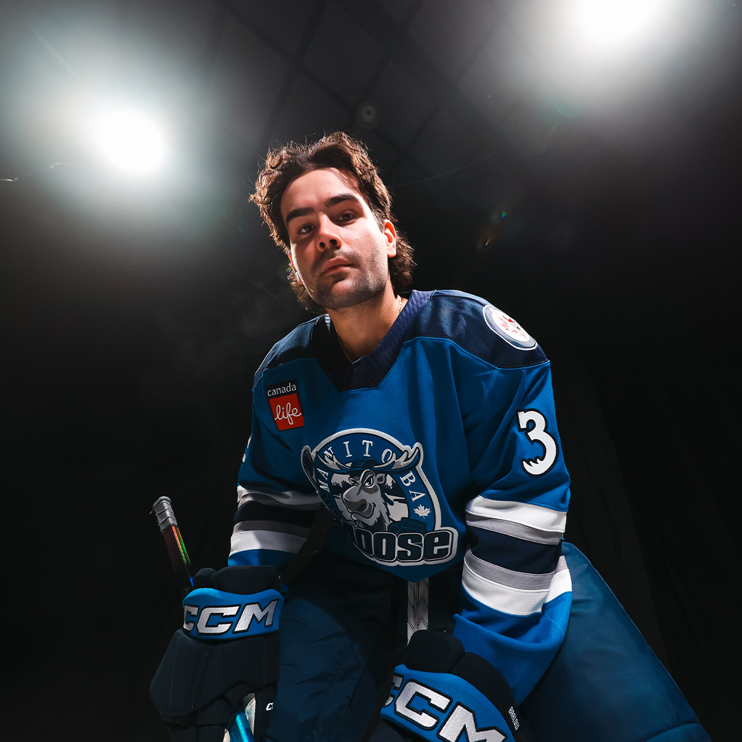 ManitobaMoose's tweet photo. Back by popular demand 🫎 https://t.co/40JibtXGbD
