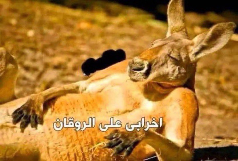 10 (@ozx_bb) on Twitter photo 