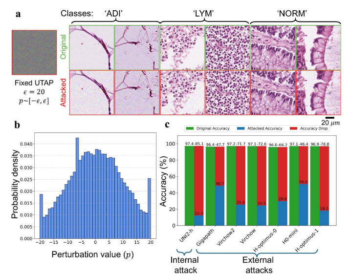 H.R. Tizhoosh tweet media
